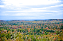 View from Devils Hill