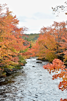 Downstream view of the Catalone River from the New Boston Road