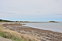 L’Archevêque Harbour looking northeast from the beach