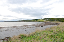 Ponds Cove