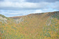 The Cape Mabou Plateau from the Beaton Trail Look-Off: Part 1