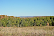 View to the north from the Glencoe Road