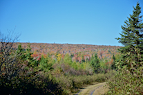 Ridge northwest of Kewstoke