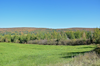 Skye Glen from Highway 252
