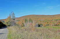 Cape Mabou from the Northeast Mabou Road: Part 1