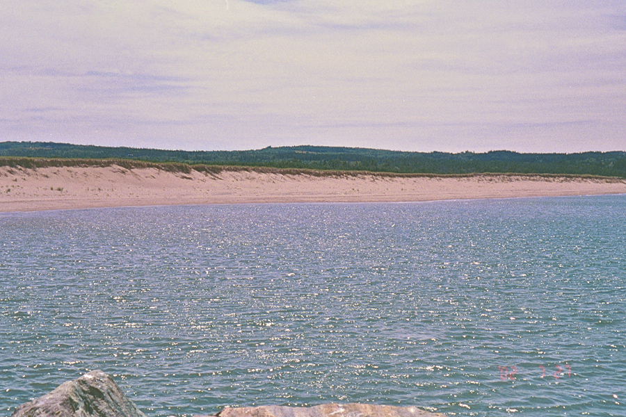 The beach from the breakwater
