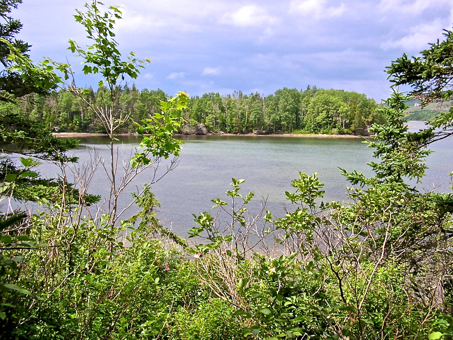 Sams Cove from its East Side