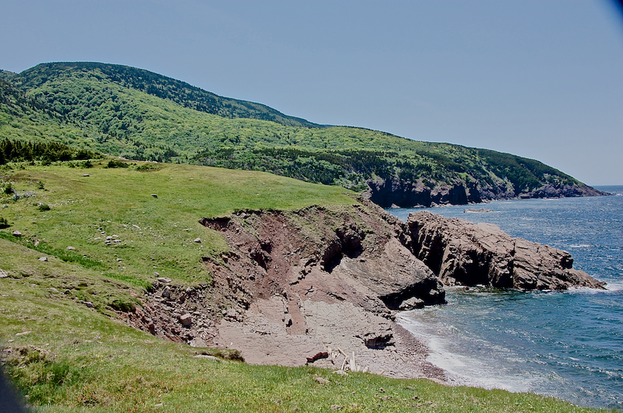 Lowland Cove
