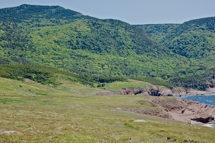 The Highlands south of Lowland Cove
