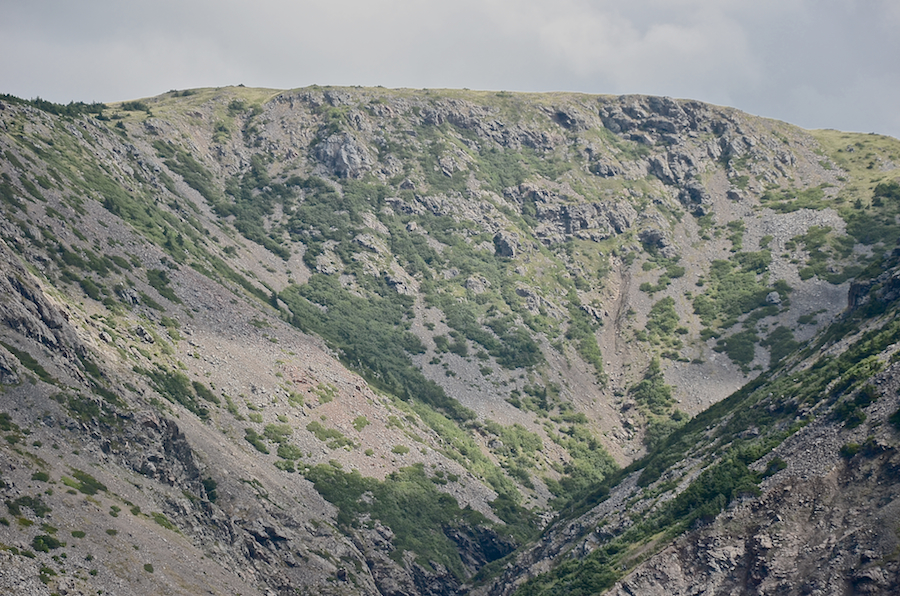 The great ridge
