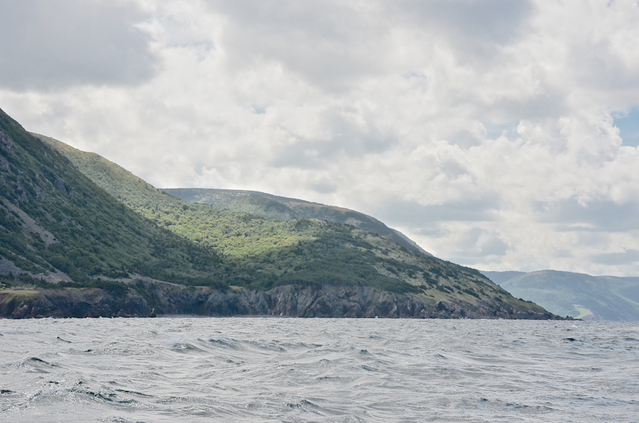 The coast north of Delaneys Point