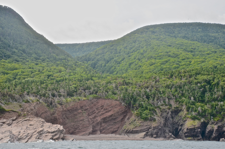 The head of Lowland Cove