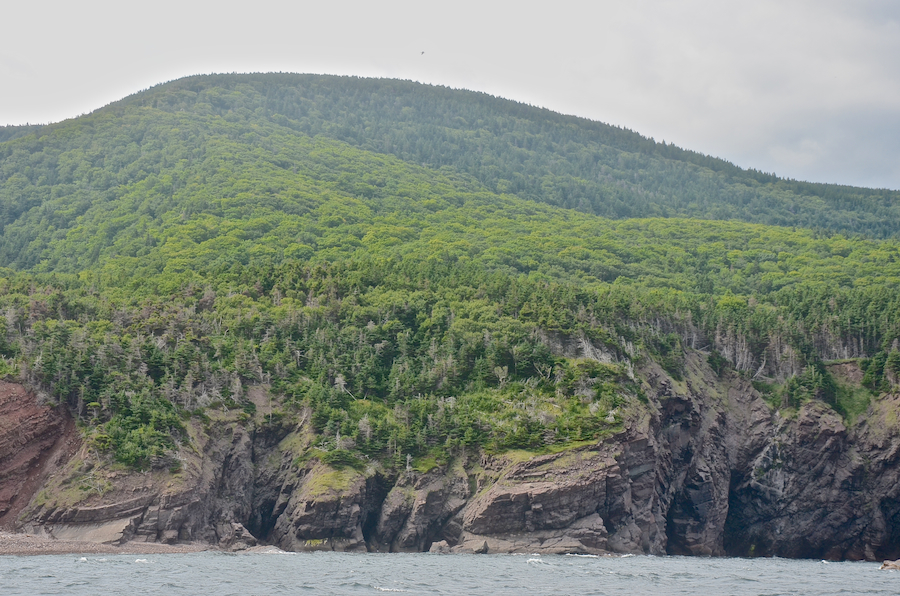 The south shore of Lowland Cove