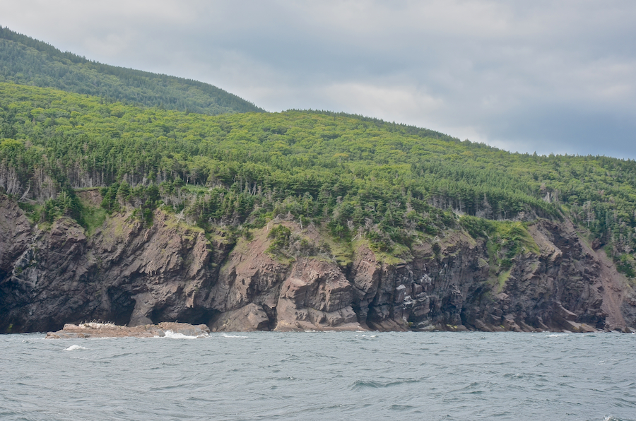 The south shore of Lowland Cove