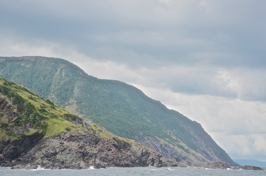 Lowland Point