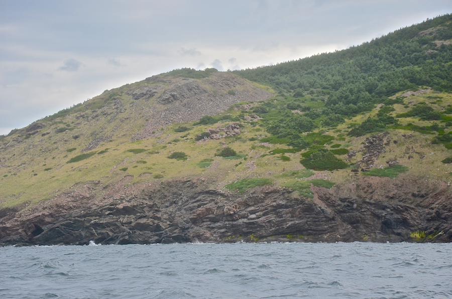 The coast south of Lowland Point, part 1