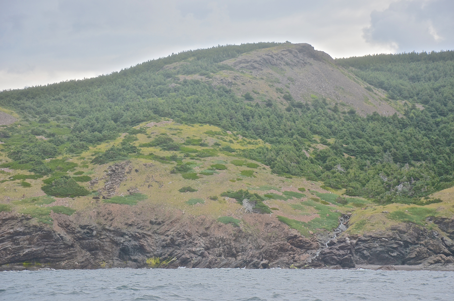 The coast south of Lowland Point, part 2