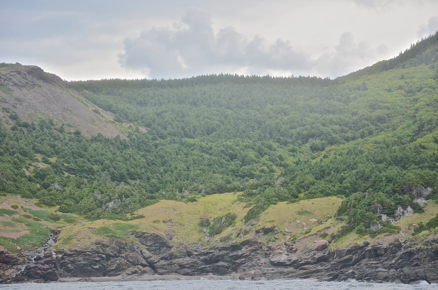 The coast south of Lowland Point, part 3
