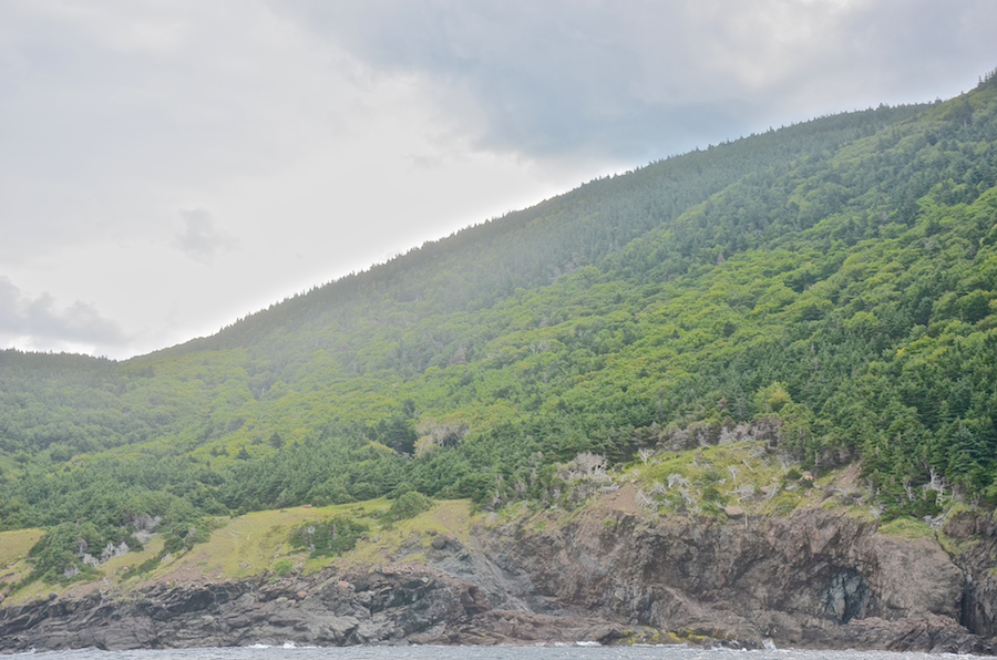 The coast south of Lowland Point, part 4