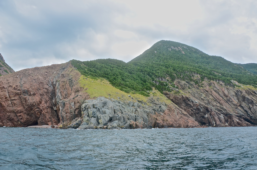 The coast below “Sailor Brook Mountain South”
