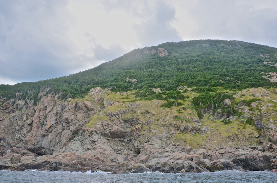 The coast below “Sailor Brook Mountain South”