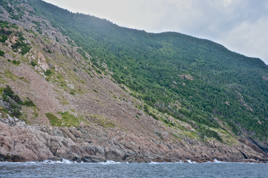 The coast below “Sailor Brook Mountain South”