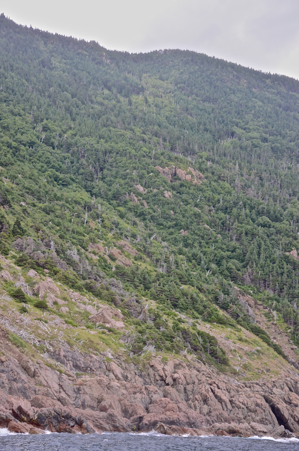 The northern coast of the High Capes area