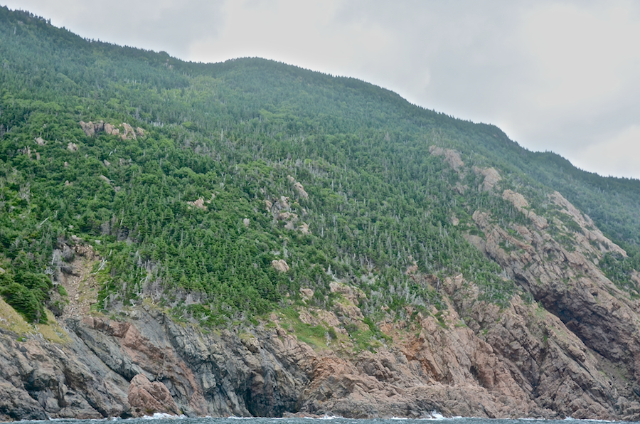 The northern coast of the High Capes area