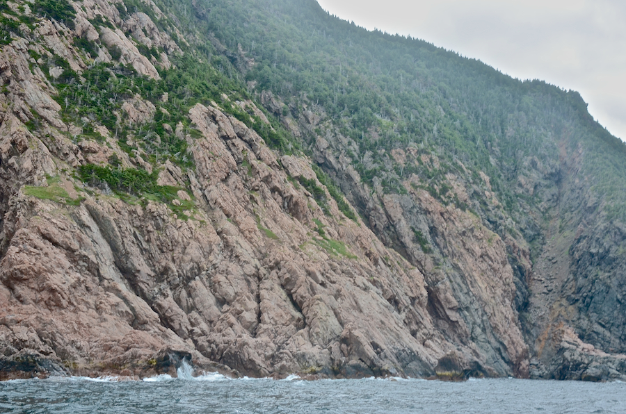 Cliffs along the northern coast of the High Capes area