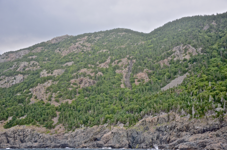 Rubble north of the unnamed brook