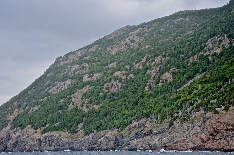 The coast below the “tiara”