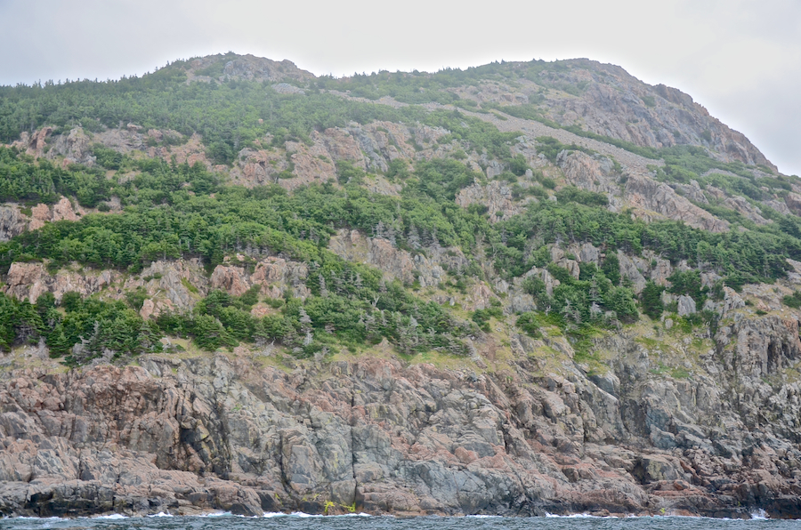 The “knuckles” seen from dead-on