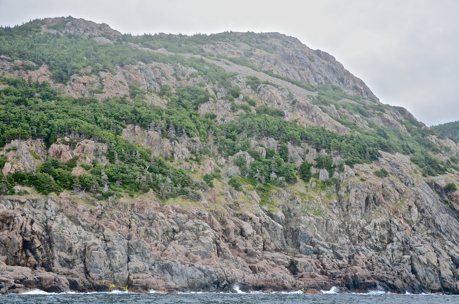 The “knuckles” seen from dead-on