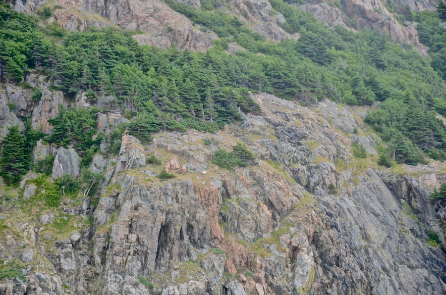 Detail of cliffs below the “knuckles”