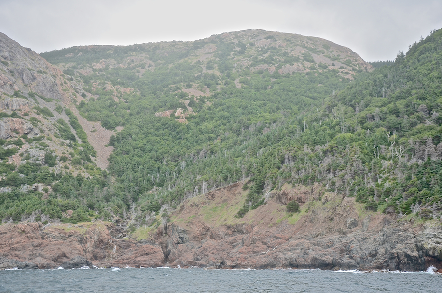 The Cape Breton Highlands Plateau just south of the “knuckles”
