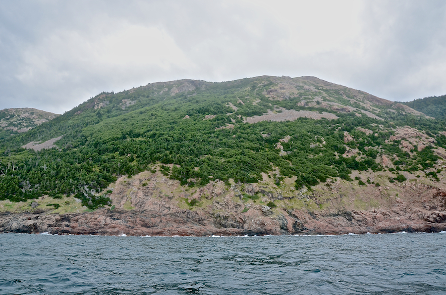 “Between-the-Brooks Mountain”