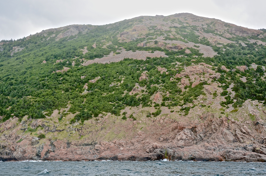 The western flank of “Between-the-Brooks Mountain”