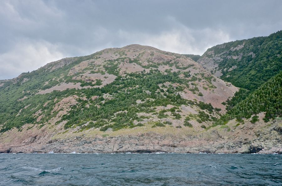 The southern flank of “Between-the-Brooks Mountain”