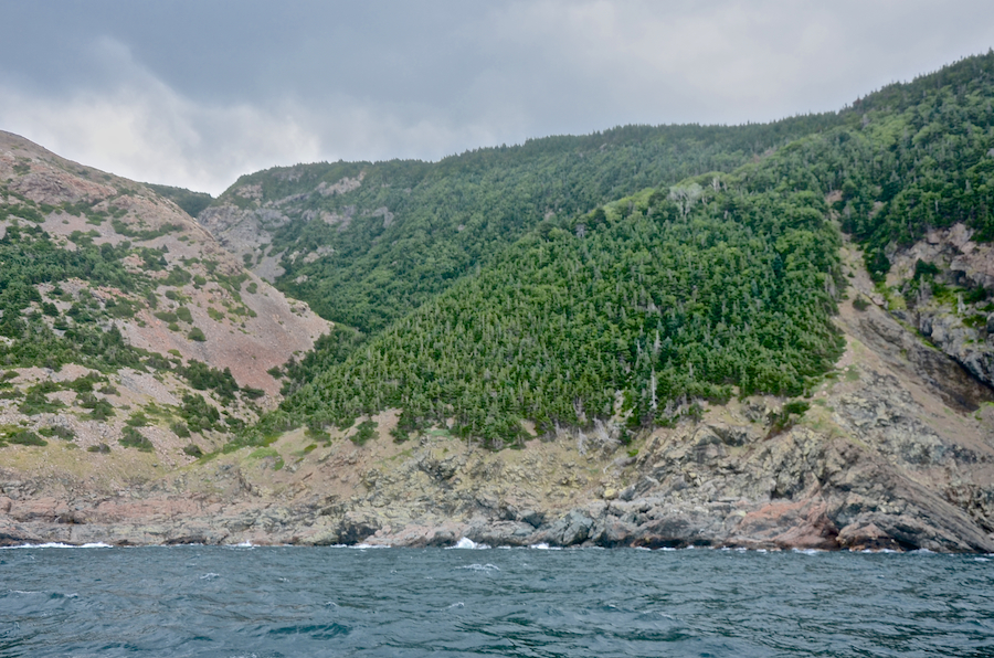 The northern part of the western flank of “Big Head Mountain”