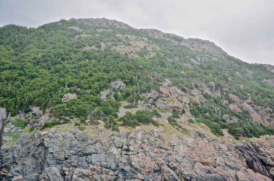 The central part of the western flank of “Big Head Mountain”