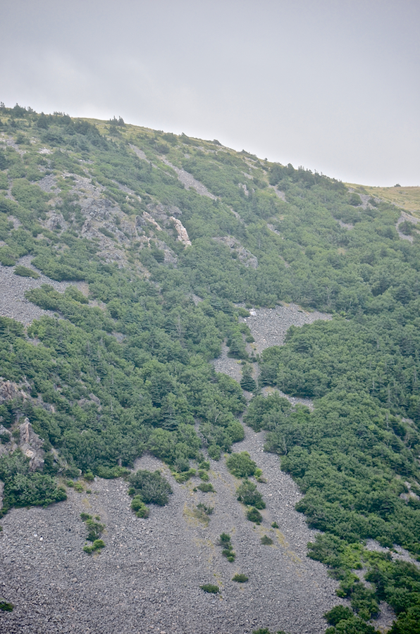 The ridge on the northern peak of “Delaneys Mountain”