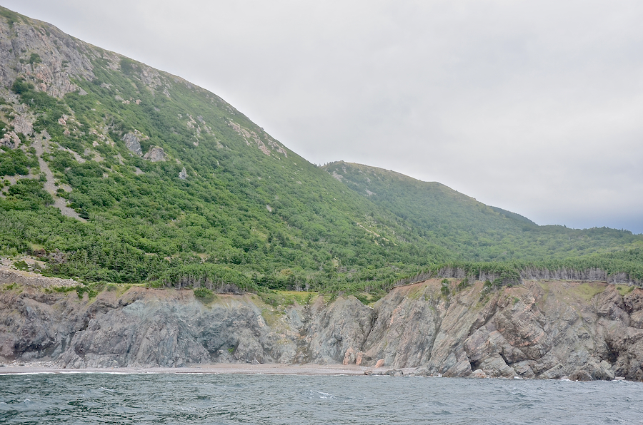 The beach and forested valley at the foot of “Delaneys Mountain”