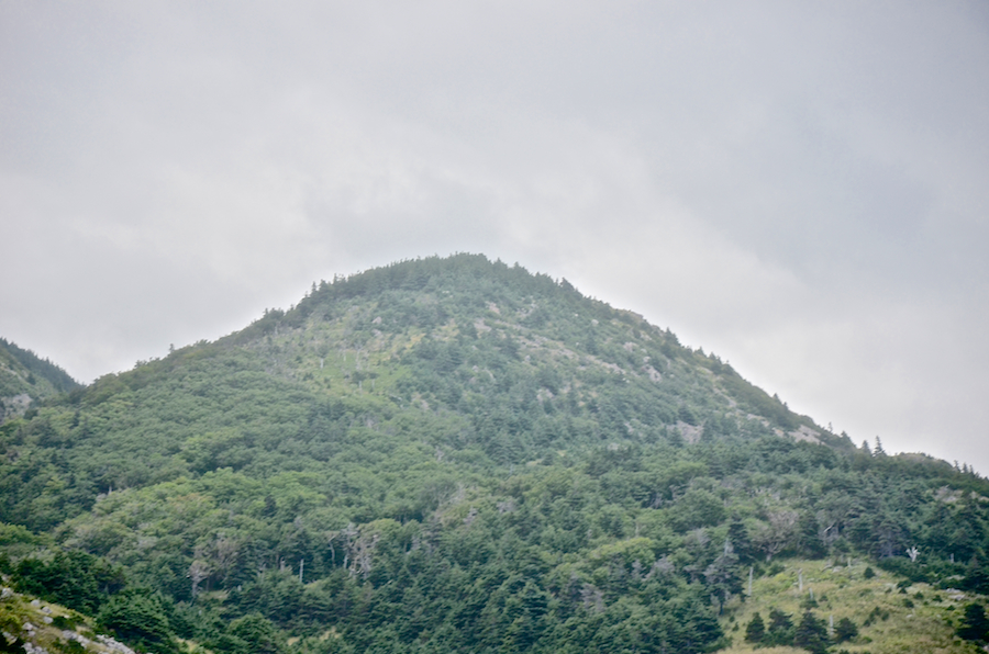 “Diamond Mountain”