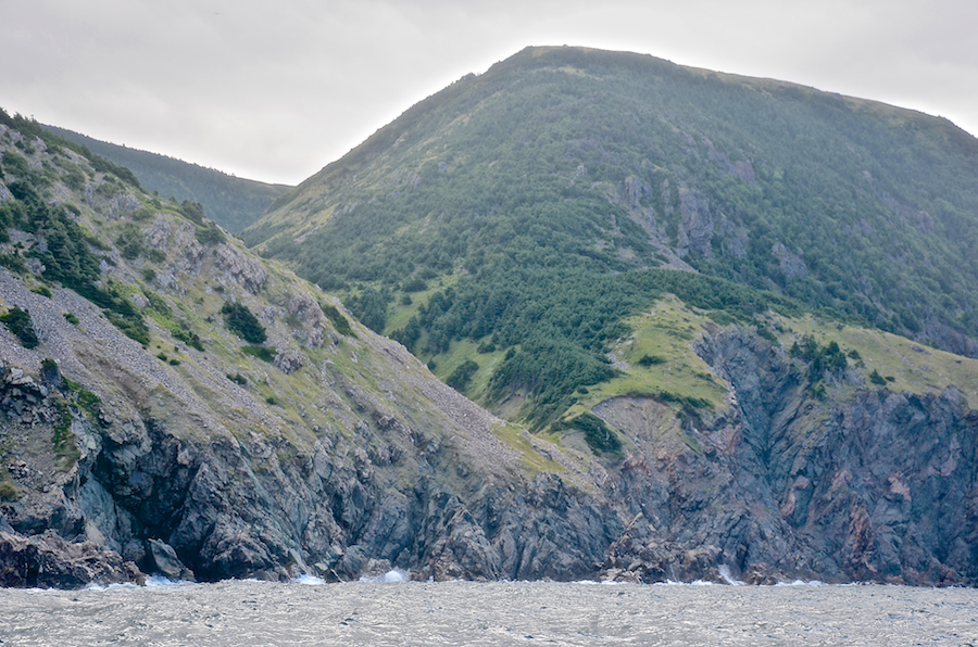 The mouth of Malcolms Brook