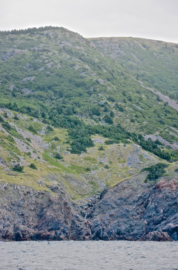 The mouth of Malcolms Brook