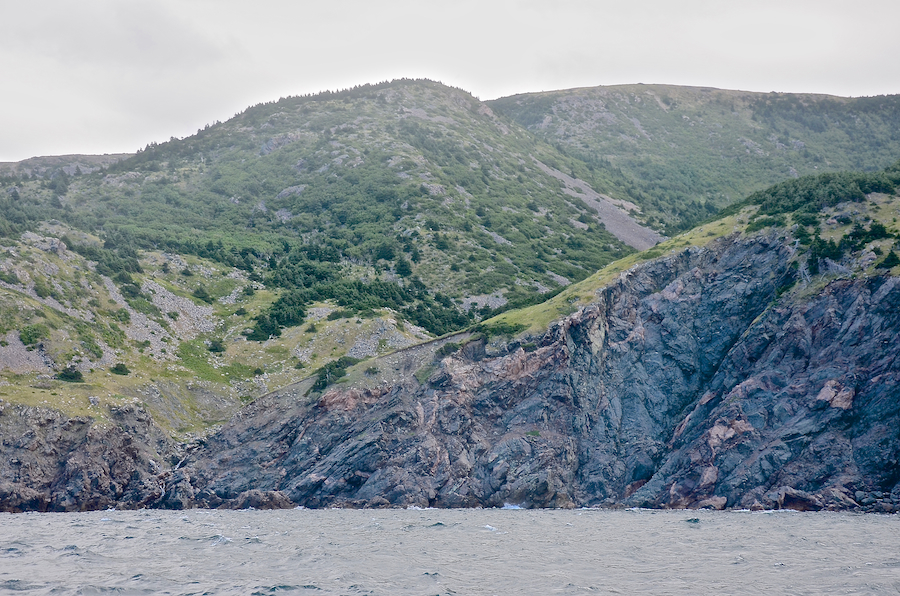 Malcolms Brook Mouth and the coast just to its south