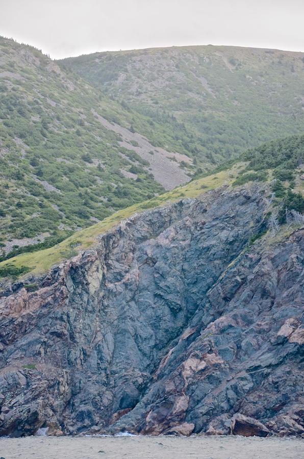 The northern gouge from the south