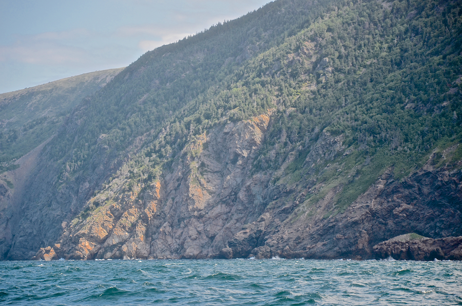 Coastal cliff below “Malcolms Brook Mountain” in the sun
