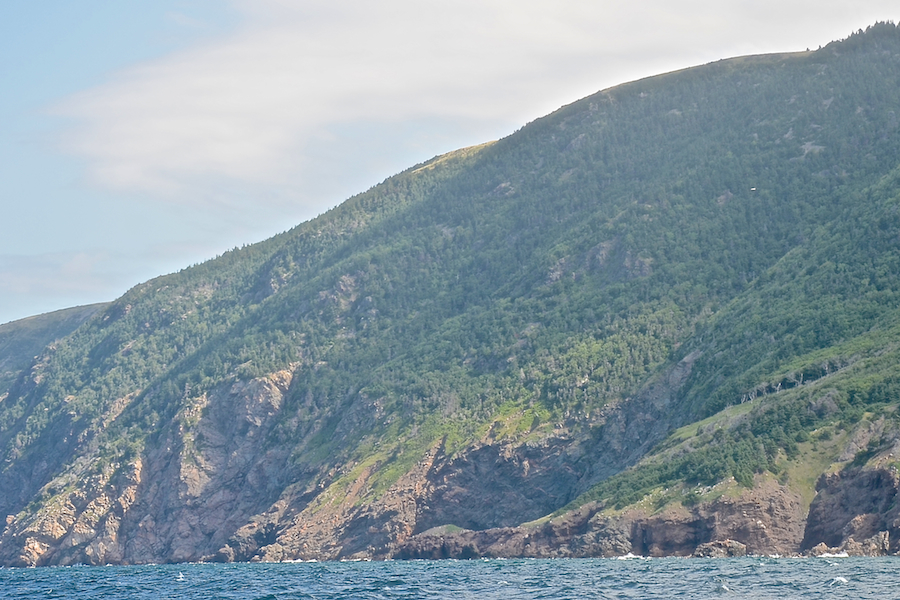 The coast at Fort Cove