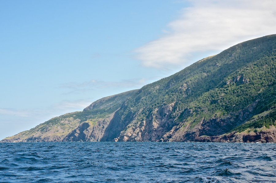 “Malcolms Brook Mountain” and the coast below